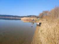 IMG_20250413_081927