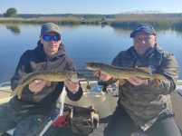 IMG-20250526-WA0003
