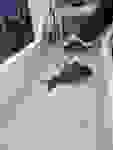 6188565f-40ea-4f1e-9696-223eaeb2587b