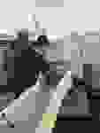 772e18d7-b214-47f5-bfeb-57472939e0eb