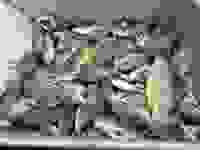 50556337-7123-41d8-8bd9-80f37a0a0f83