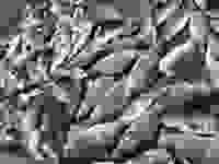 a78b4617-6be0-4043-80d8-0516ab8e9c32